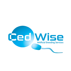Advertisement 5 advertising_section_section__1