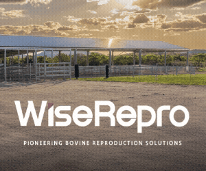 Advertisement 5 advertising_section_section__1