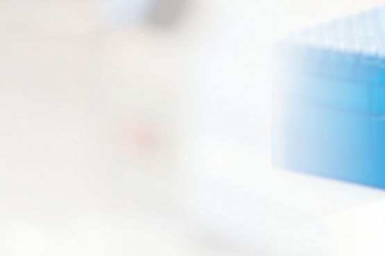 Sample IDs for DNA Testing