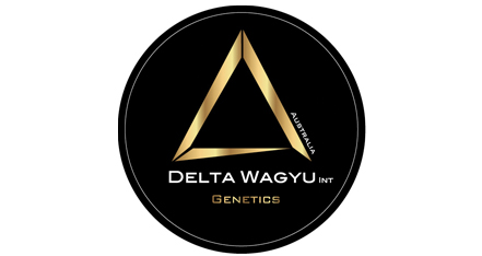 Delta Wagyu