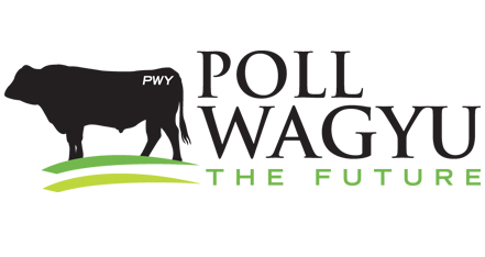Poll Wagyu