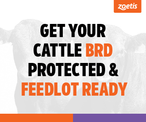 Advertisement 4 advertising_section_section__1