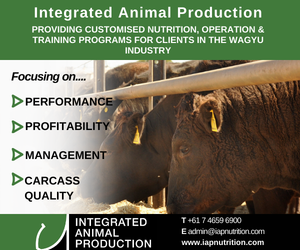 Advertisement 2 advertising_section_section__3