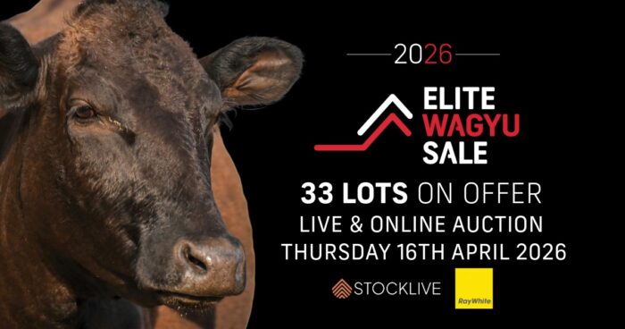 Elite Wagyu Sale