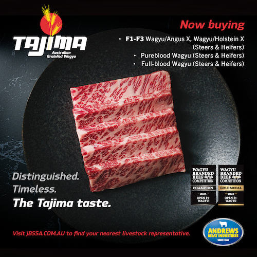 Advertisement 4 advertising_section_section__1