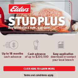 Advertisement 5 advertising_section_section__3