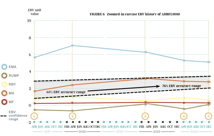Genomic Super Sires | Australian Wagyu Association
