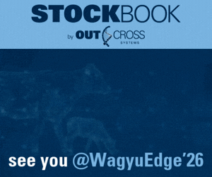 Advertisement 7 advertising_section_section__1