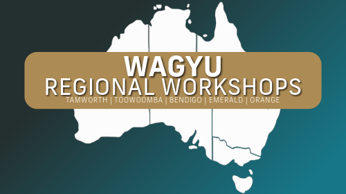 2025 Regional Workshops