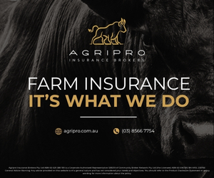 Advertisement 1 advertising_section_section__1