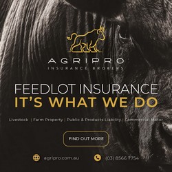 Advertisement 4 advertising_section_section__4