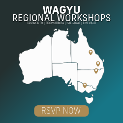 Regional Workshops