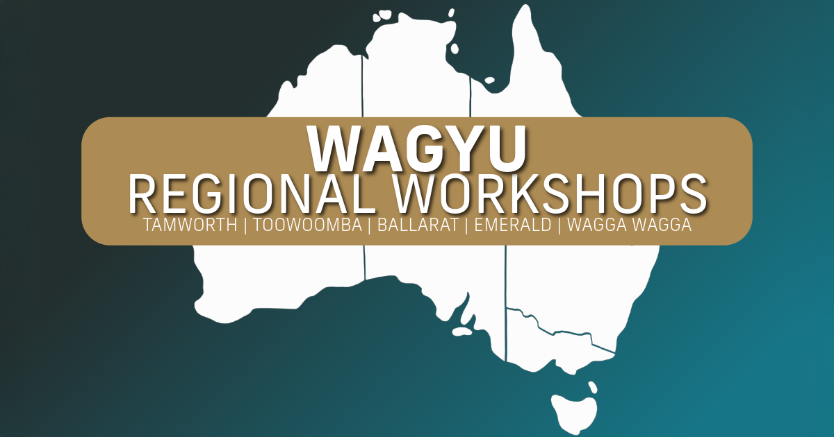 Regional Workshops 