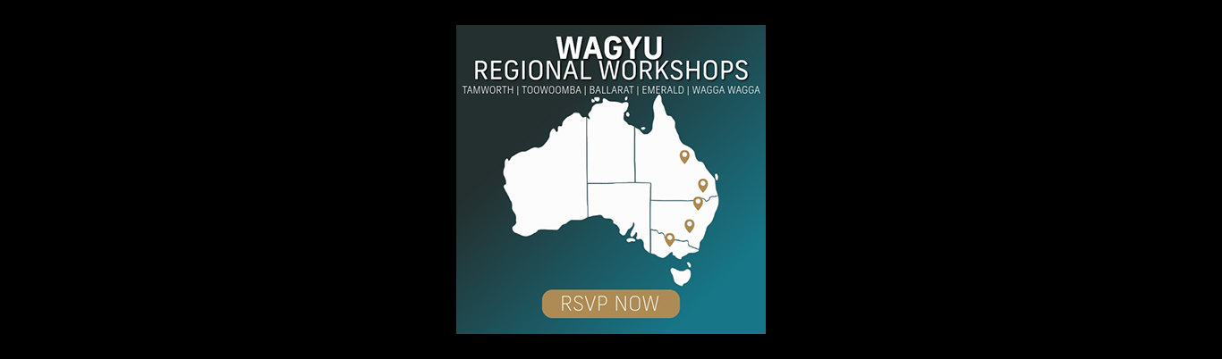 Regional Workshops