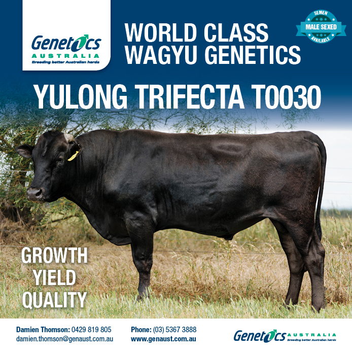 Advertisement 6 advertising_section_section__1