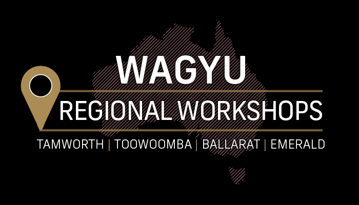 Regional Member Engagement Workshops