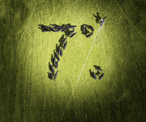 Advertisement 2 advertising_section_section__1