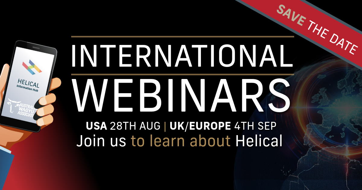 International Webinars - Discover Helical | Australian Wagyu Association