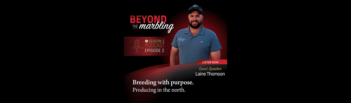 Beyond the Marbling - season 2 -Ep 2