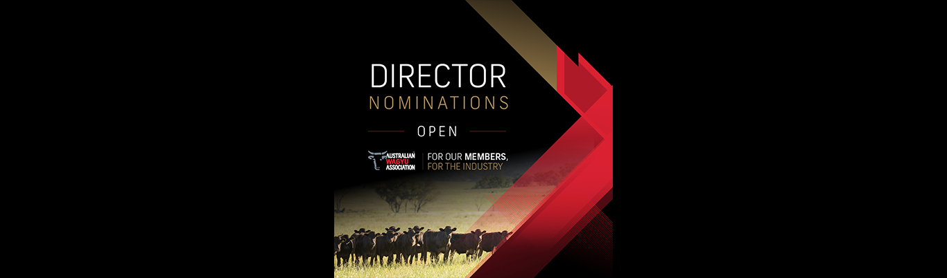 2025 Director Nominations
