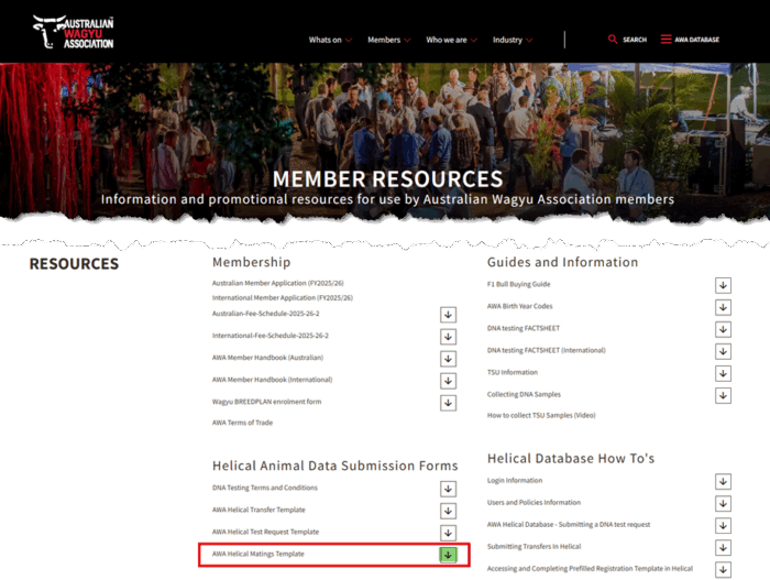 Matings Template Location