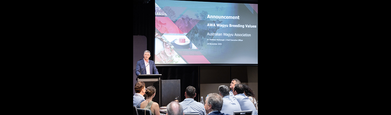 2025 Technical Workshop Videos