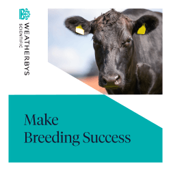 Advertisement 0 advertising_section_section__3