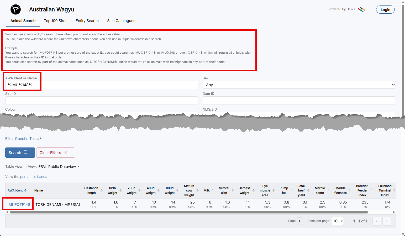 Search for an Animal by ID or Name