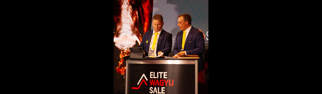 Elite Wagyu Sale Nominations
