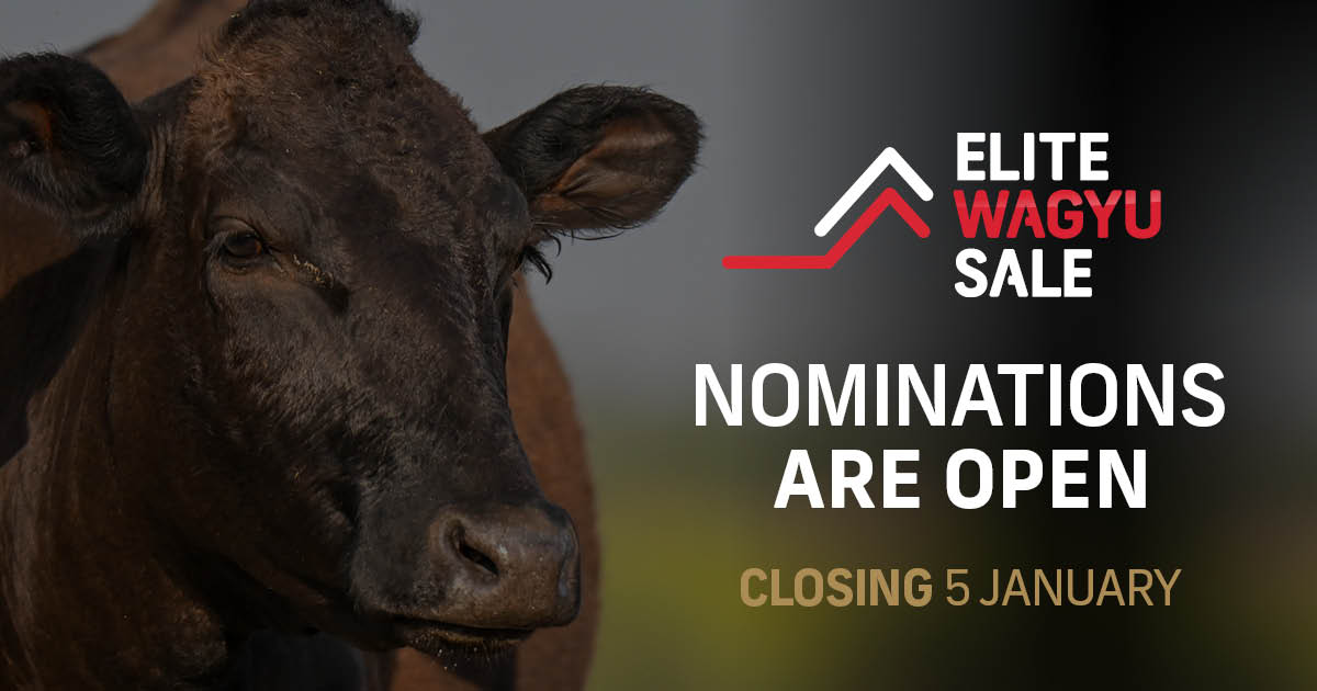 EWS Nominations 