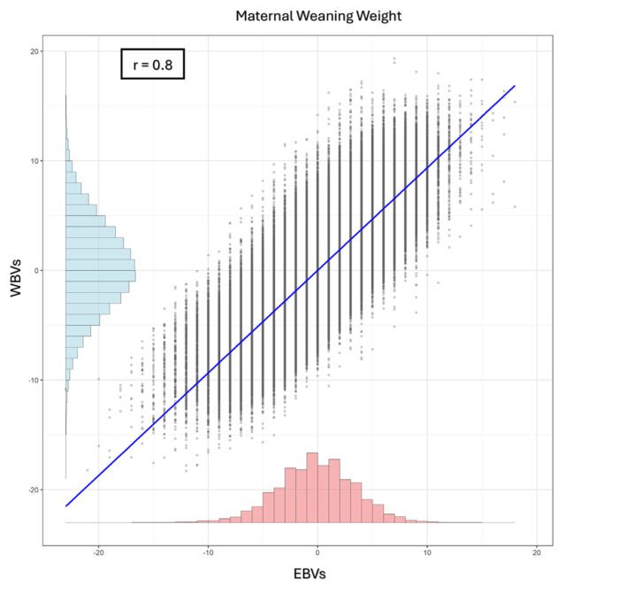 Milk to maternal weaning weight