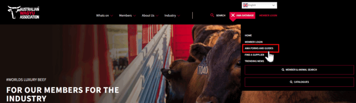 Home page forms & guides