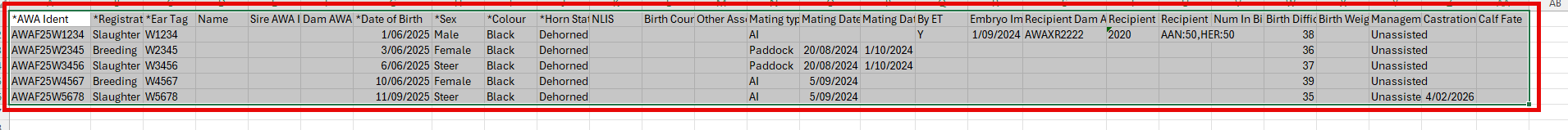 copy and paste example