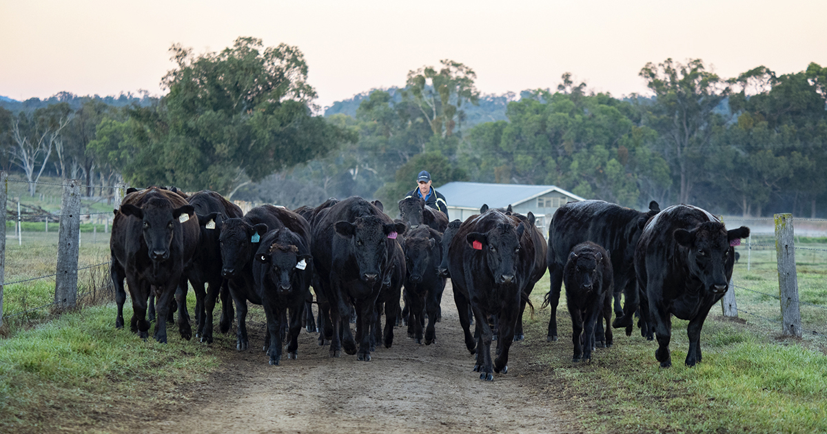 Post conference tour 