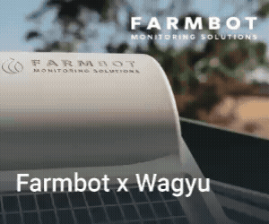 Advertisement 1 advertising_section_section__1