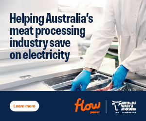 Advertisement 1 advertising_section_section__1