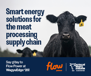 Advertisement 12 advertising_section_section__3