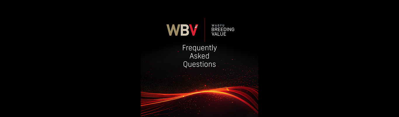 WBV FAQs