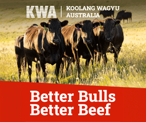 Advertisement 1 advertising_section_section__3