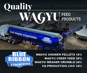Advertisement 0 advertising_section_section__1