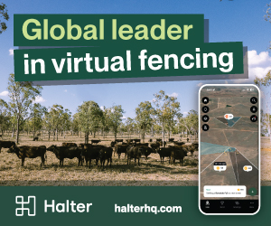 Advertisement 9 advertising_section_section__3