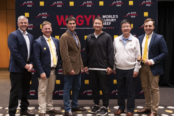 Woodland Wagyu Top Price