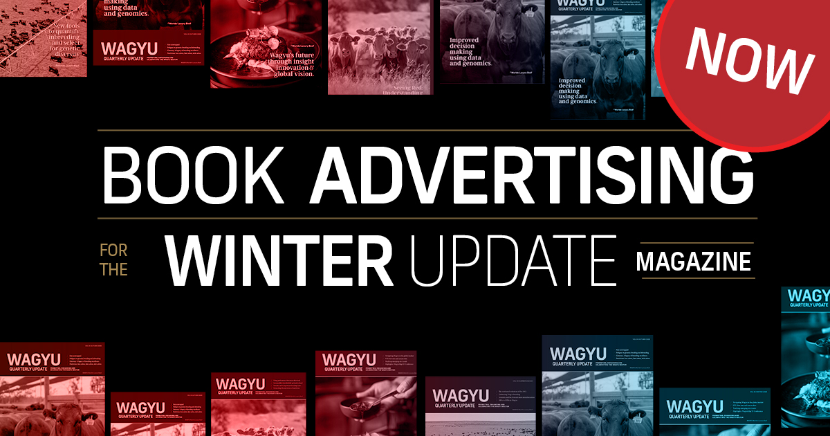 Winter 2026 Update Mag 