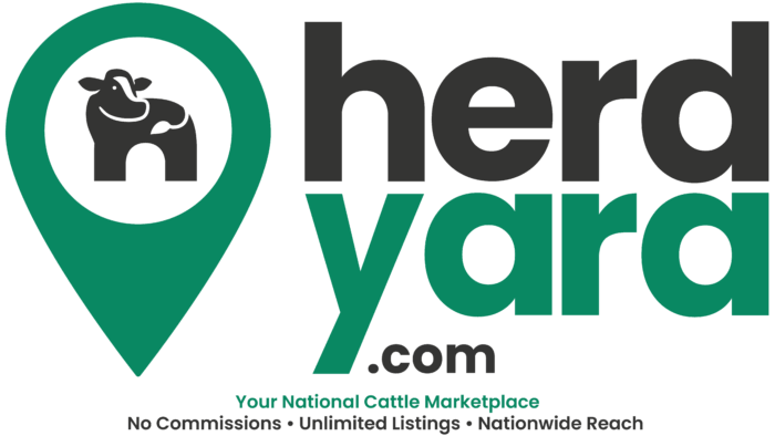 Big Texas Event 2026
