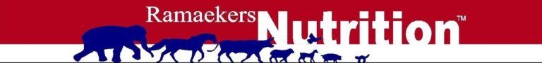 Big Texas Event 2026