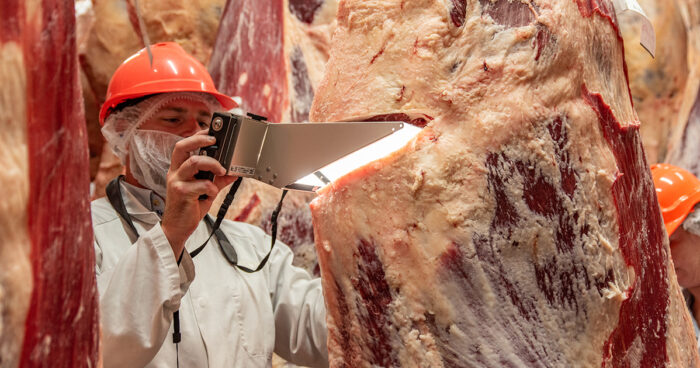 MIJ has become particularly valuable in Wagyu because of its ability to objectively assess carcases with high marbling performance