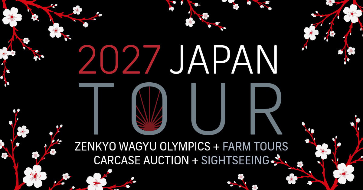 Japan Tour 