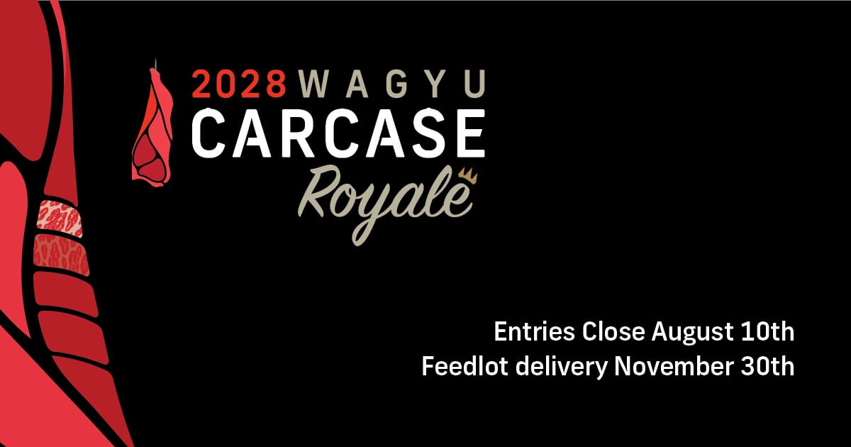 Carcase Royale 