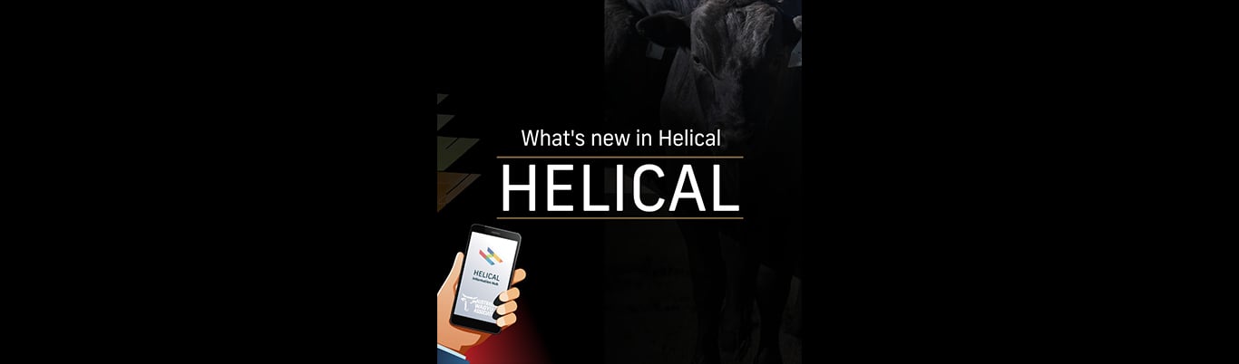 New in Helical