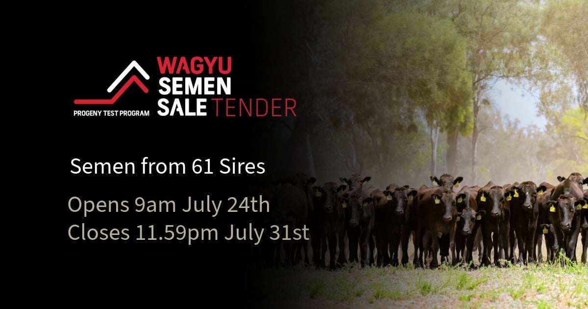 2026 PTP SEMEN SALE TENDER